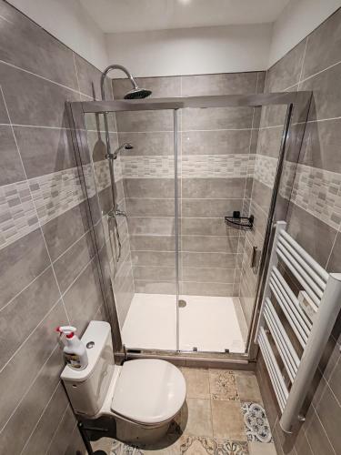 une salle de bain avec douche et toilettes dans l'établissement Appartement 40 m2, à Saint-Étienne