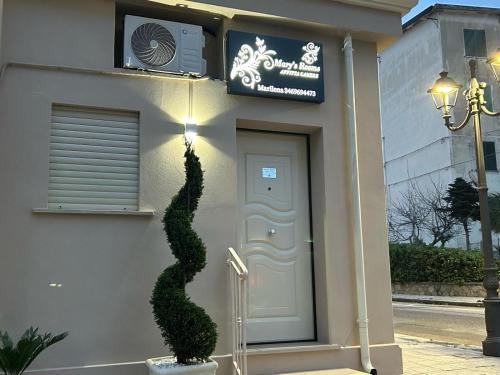 a plant in front of a building with a door at Mary's rooms in Parghelia