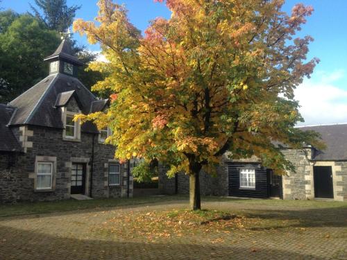 an autumn tree in front of an old building at Charmantes Ferienhaus in Tweedsmuir mit Grill und Garten in Polmood