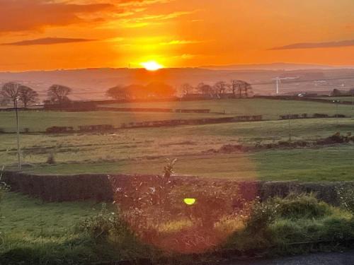 a painting of a sunset in a field at Carnbore House BnB in Bushmills
