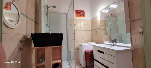 La salle de bains est pourvue d'un lavabo et d'une douche avec un miroir. dans l'établissement Le St Amour Élégant 2 chambres *Wifi/Super Centre*, à Besançon