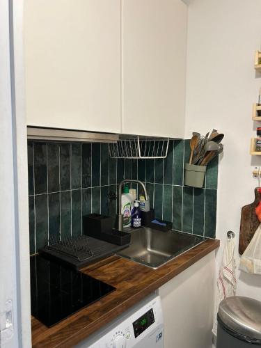 une cuisine avec un évier et un plan de travail dans l'établissement Appartement de charme pour les JO 2024, à Paris