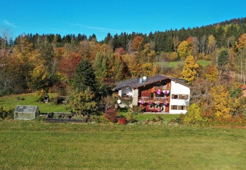 a house in the middle of a field at Ferienwohnung in Schlag mit Großer Terrasse in Kirchdorf im Wald