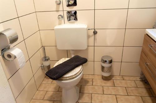a small bathroom with a toilet and a sink at Großzügiges Ferienstudio für zwei Personen in Weißenstadt