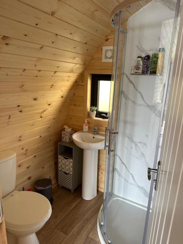 a bathroom with a shower and a toilet and a sink at Lochside Lodge Pod in Lairg