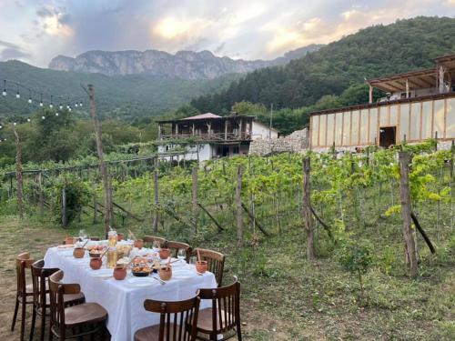 een tafel met een wit tafelkleed en stoelen in een wijngaard bij Korenishuli Veranda Wine Hotel in Tsʼageri