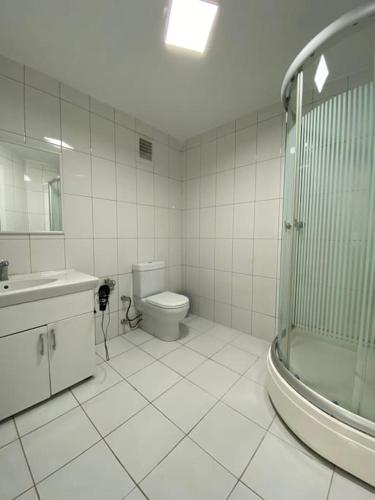 a bathroom with a toilet and a sink and a shower at Müstakil Bahçeli Ev (Bergamot) in Şile