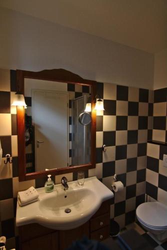 a bathroom with a sink and a mirror and a toilet at Schöne Ferienwohnung in Sasbach Am Kaiserstuhl mit Grill und Terrasse in Sasbach am Kaiserstuhl