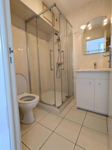 une salle de bain avec une douche, des toilettes et un lavabo dans l'établissement Appart les Mouettes-face à la mer et au sentier des douaniers, à Planguenoual