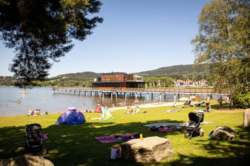 a group of people on a beach with a pier at MOLO LIPNO RESIDENCE in Lipno nad Vltavou