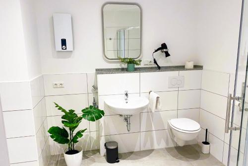 een badkamer met een wastafel, een toilet en een spiegel bij Großzügiges City-Apartment in Mönchengladbach in Mönchengladbach