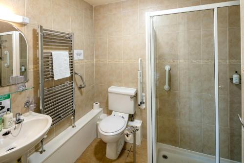 a bathroom with a toilet and a sink and a shower at East Hook Farmhouse in Haverfordwest
