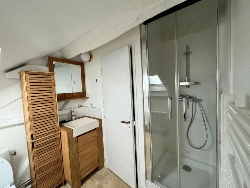 baño pequeño con ducha y lavamanos en La Passerelle en Saint-Hilarion