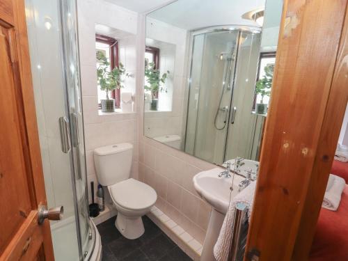 a bathroom with a toilet and a sink and a mirror at Quarter Deck in Ulverston