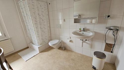 a bathroom with a toilet and a sink at MBar Apartment in Altnau