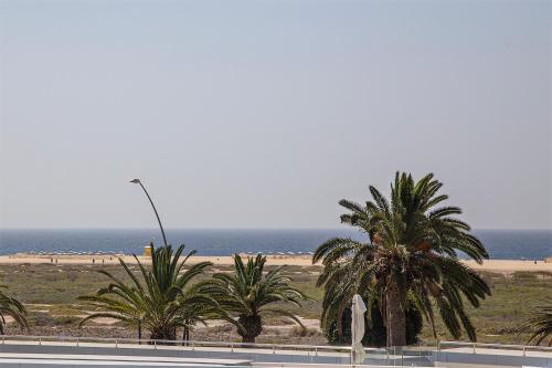 - une vue sur la plage bordée de palmiers et l'océan dans l'établissement Casa Ari, Beautiful Ocean View, à Morro del Jable