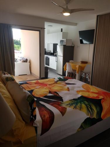 帕皮提的住宿－Tehautahi Cozy Lodge 2，一间卧室配有一张大床,床上有色彩缤纷的毯子