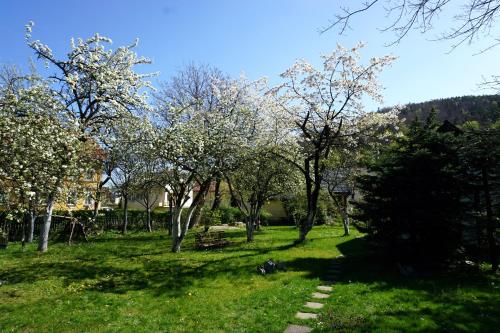 Jardín al aire libre en Górski Sad - Bazylia