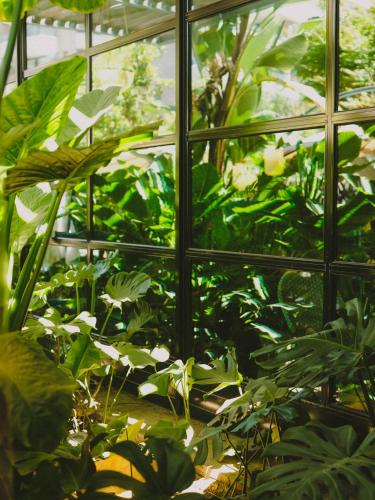 Zahrada ubytování Hotel Eco Boutique Bidasoa