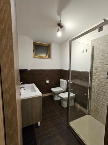 een badkamer met een toilet, een wastafel en een douche bij Santrid apartment in Catania