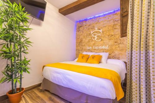 Apartamentos San Cristóbal Centro Córdoba