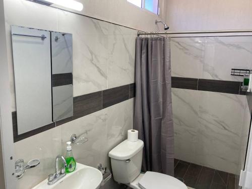 La salle de bains est pourvue de toilettes, d'un lavabo et d'une douche. dans l'établissement Excelente Loft Céntrico, à Zinapécuaro de Figueroa
