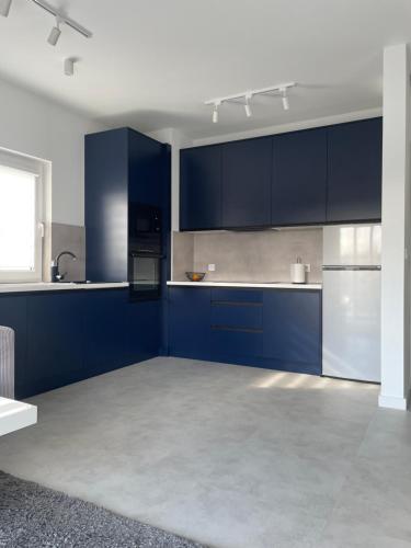 cocina grande con armarios y electrodomésticos azules en Apartament Skłodowskiej, en Łańcut