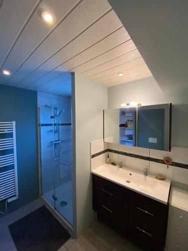 une salle de bain avec un lavabo et une douche en verre dans l'établissement Maison centre du village, à Grand-Village-Plage