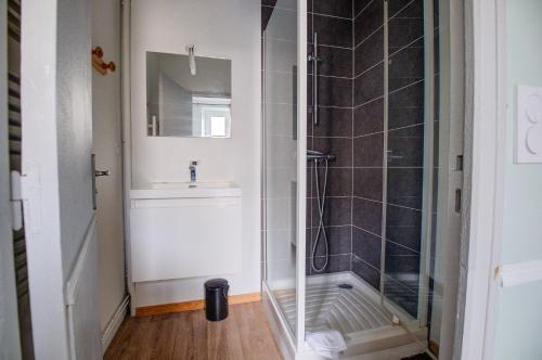 une salle de bain avec douche et lavabo dans l'établissement le romantique, hyper centre, à Périgueux
