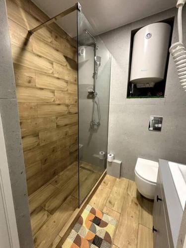 a bathroom with a shower and a toilet and a sink at Central Park Apartment in Chişinău