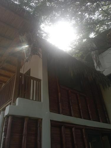 een huis met een palmboom erop bij birdwatchers house in Máncora