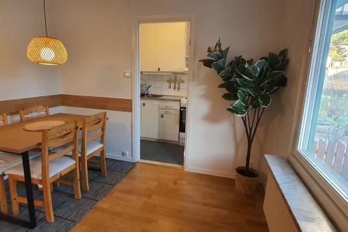 Η κουζίνα ή μικρή κουζίνα στο Apartment with garden near metro!