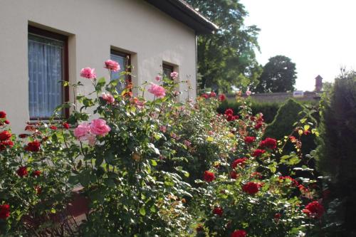 un giardino con fiori rosa di fronte a una casa di Ferienhaus für 6 Personen in Bezirk 23-Liesing, Wien und Umgebung 
