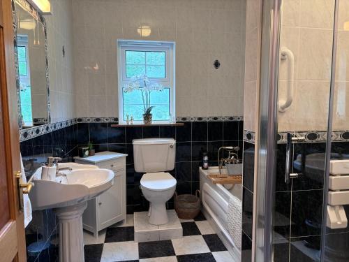 a bathroom with a toilet and a sink and a tub at The Lodge Self Catering in Castlerea