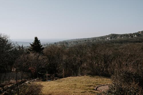 a grassy hill with trees on the side of it at SUQO vendégház in Sukoró