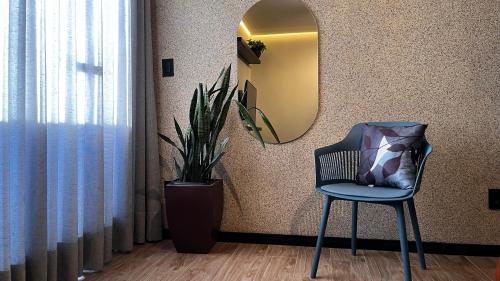 a chair in a room with a mirror and a plant at Apartamento Terracota in Piumhi