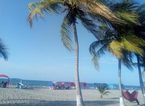 deux palmiers sur une plage de sable avec un ciel bleu dans l'établissement Cabaña la isla, à Coveñas