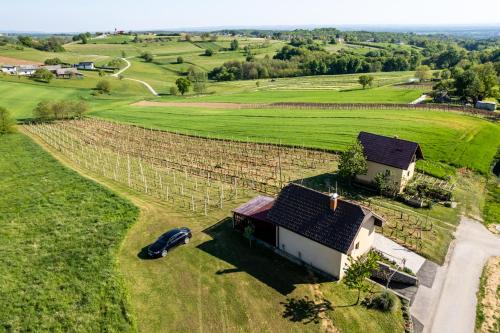 an aerial view of a house in a field at APARTMA ENI in Moravske Toplice