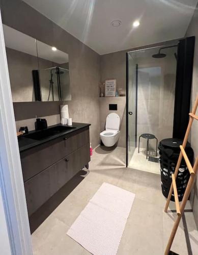 een badkamer met een wastafel en een toilet bij Hus på Valderøya in Valderhaug