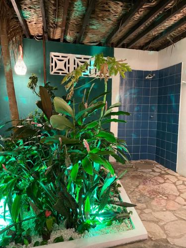 a plant in a bathroom with a blue tiled wall at Alma Livre - Quartos No Centro de Pipa - in Pipa