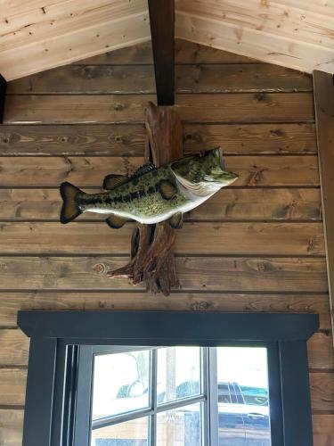 a fish hanging from the ceiling of a cabin at Little Rock Retreat in Westmeath