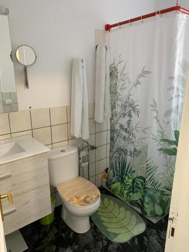 a bathroom with a toilet and a shower curtain at Edificio Juan Ávila cabrera in Gran Tarajal