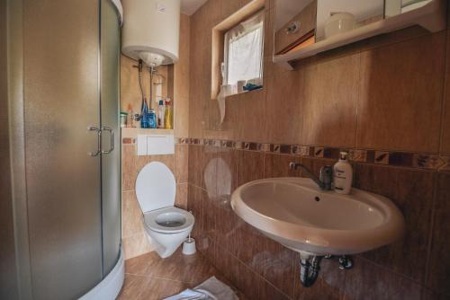 La salle de bains est pourvue d'un lavabo et de toilettes. dans l'établissement Relaxing holiday house, à Sarajevo