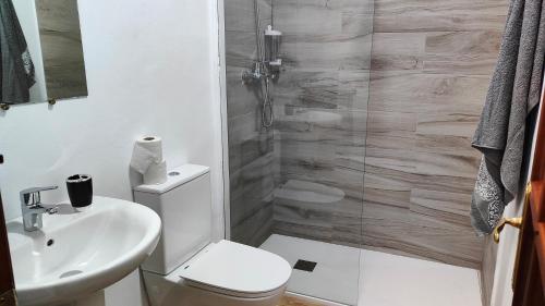 a bathroom with a toilet and a sink and a shower at Alojamientos Capri in Quesada