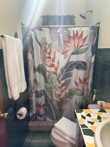 a shower curtain in a bathroom with a toilet at Quinta Las Victorias in Valle de Anton