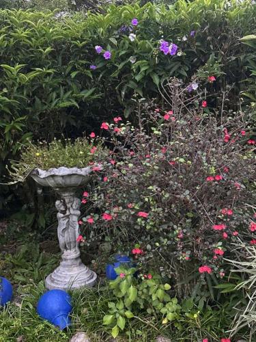 a vase in the middle of a garden with flowers at Quinta Las Victorias in Valle de Anton