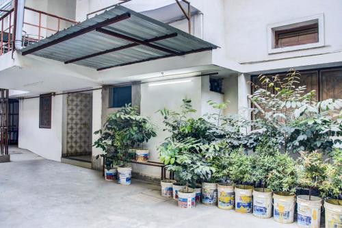 a bunch of potted plants in a building at OYO Hotel Triveni. in Patna