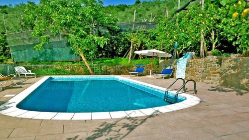 een zwembad in een tuin met 2 stoelen en een parasol bij Studio für 4 Personen und 2 Kinder in Massa Lubrense, Kapanien Provinz Neapel in Massa Lubrense