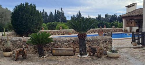 een tuin met palmbomen en een stenen muur bij Son Pujol in Las Ollerías