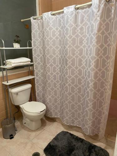 a bathroom with a shower curtain and a toilet at Departamento Zocalo ,ADE in Mexico City